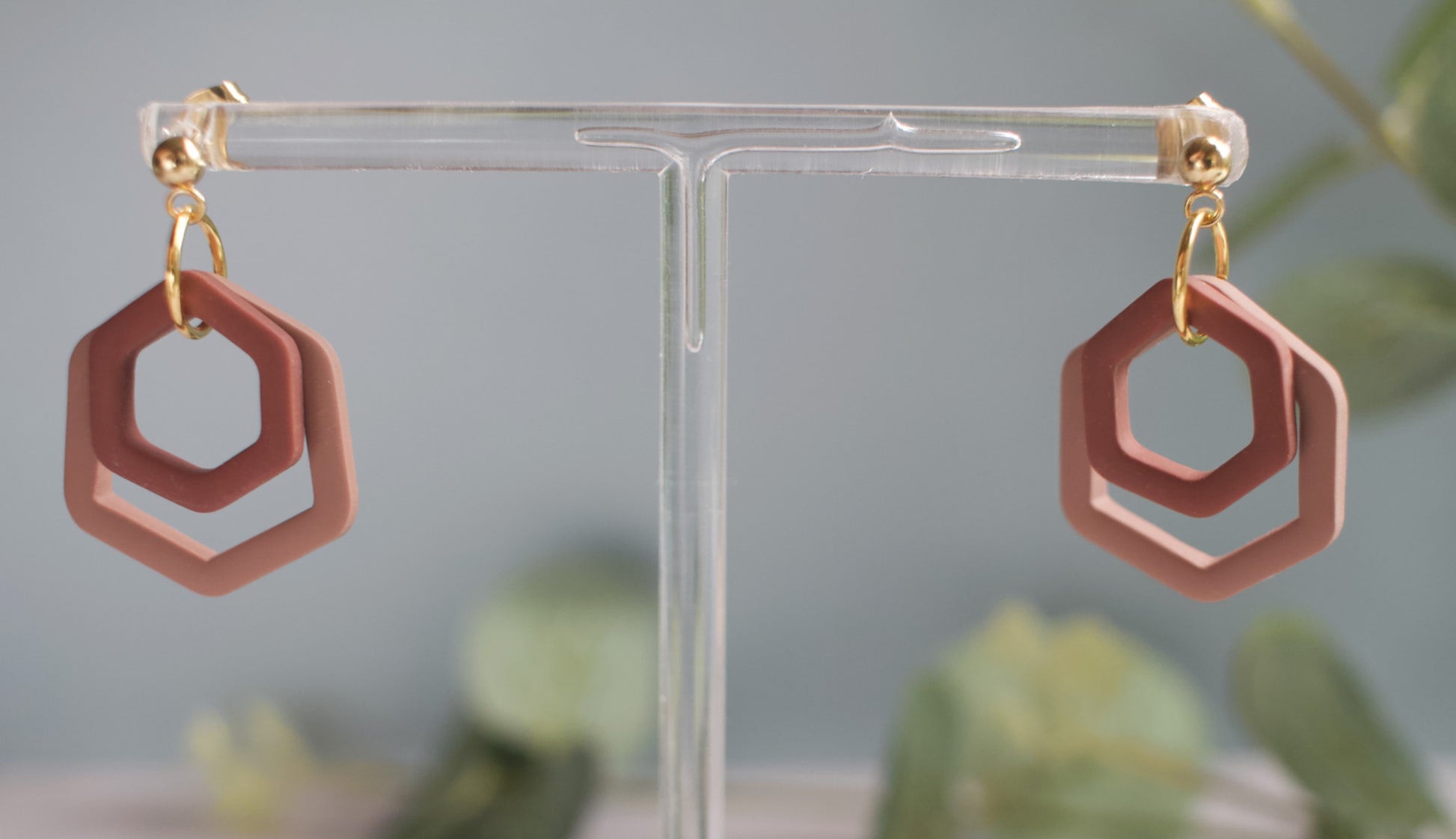 Brown hexagonal earrings on a clear stand with a blurred green plant background