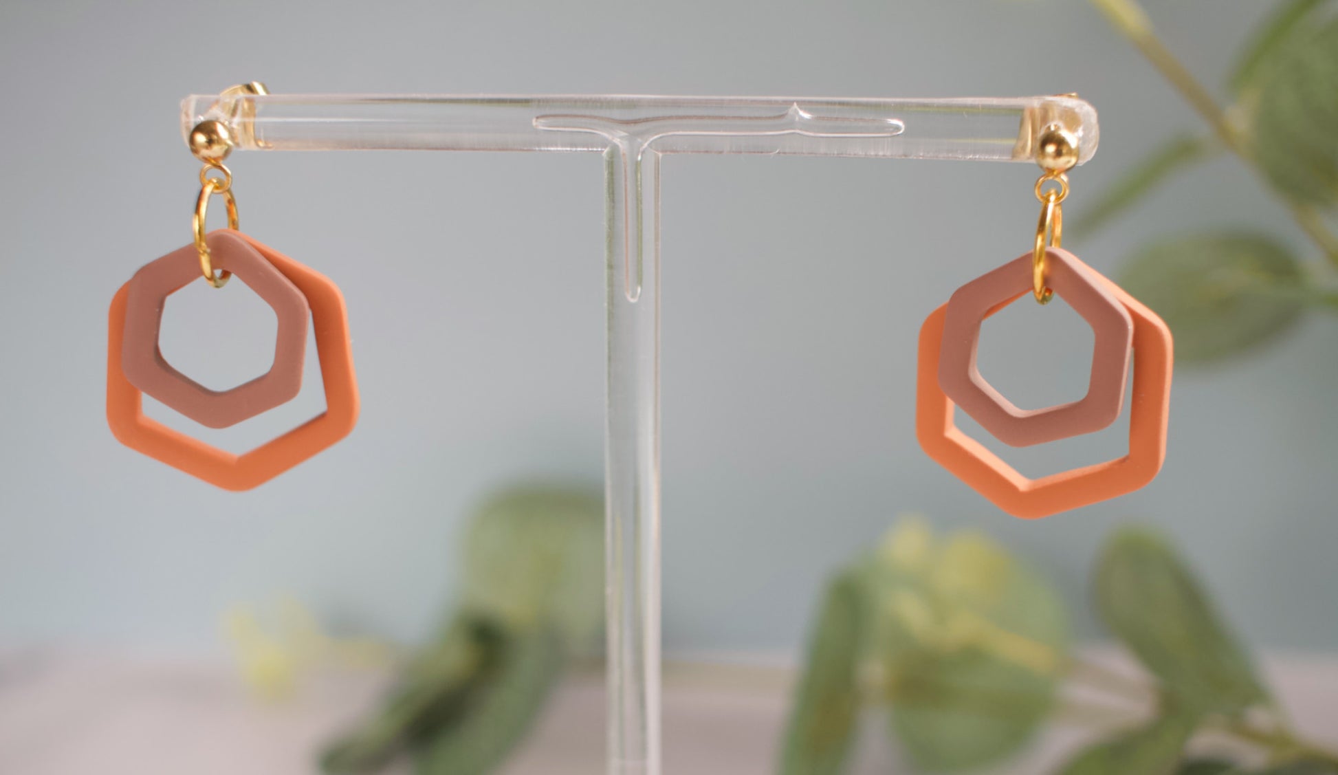 Hexagonal earrings on a clear stand with a blurred green plant background